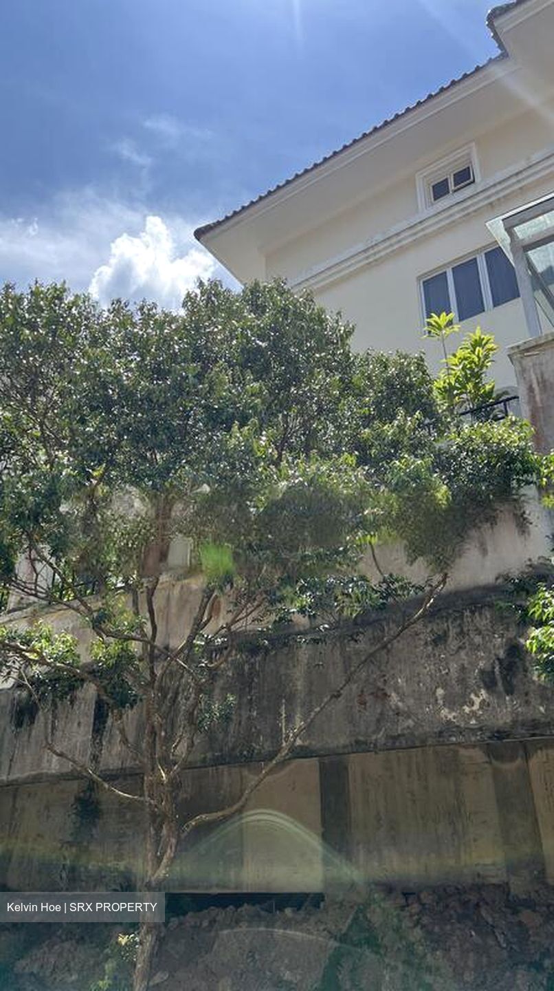 Henry Park (D10), Detached #460921051